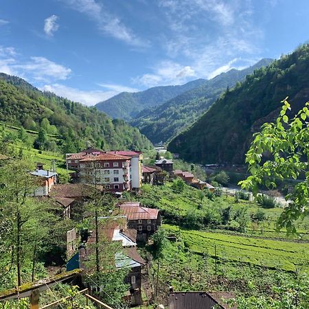 Aparthotel Koloni Apart Çamlıhemşin Exterior foto